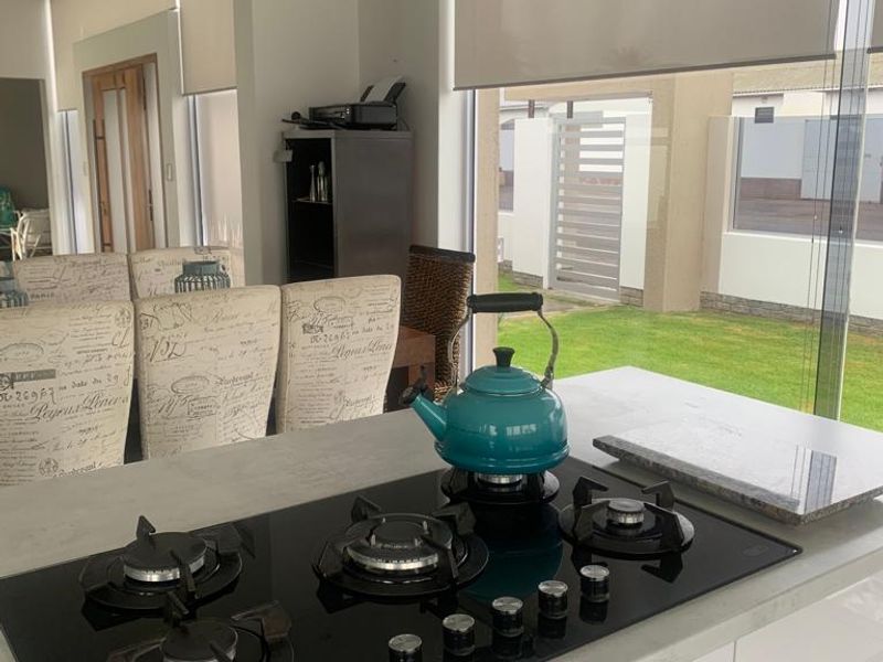 Modern kitchen featuring a sleek black gas cooktop set into a stone countertop with large windows and roller blinds overlooking the garden.