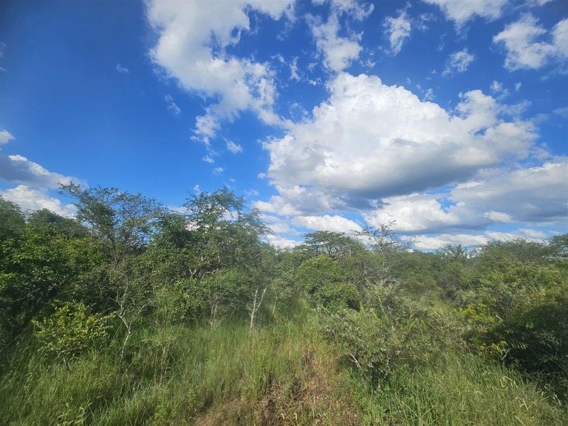 Riverfront stand on Moditlo Wildlife Estate - Photo 8