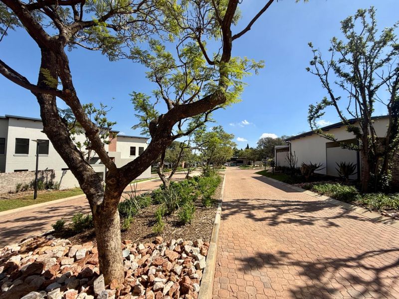 A well-maintained paved street within a residential cluster complex, featuring mature trees and landscaped garden beds.