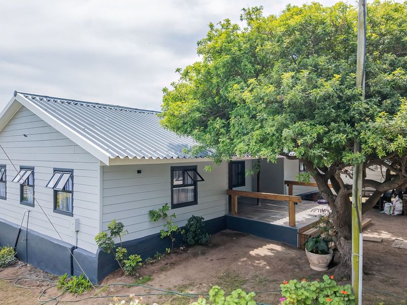 Rear view of the house featuring a timber deck, corrugated metal roof, and weatherboard cladding, set in a garden with a large mature tree.