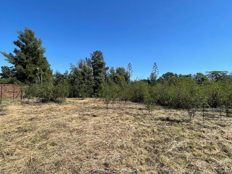 Land For Sale!! - Photo 3
