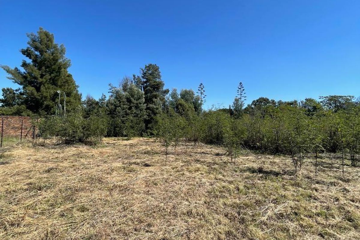 Land For Sale!! - Photo 3