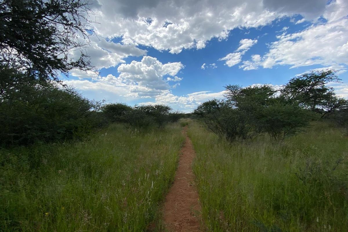 Whether you’re seeking a weekend escape, a future homestead, or a long-term investment, few places offer the same balance of accessibility and natural beauty. - Photo 2