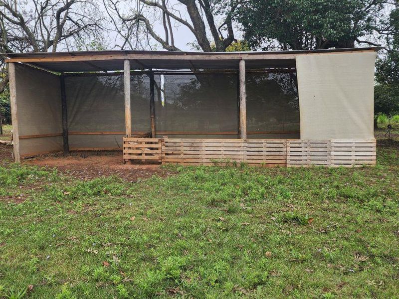 Family Smallholding for sale close to White River in a secure area - Photo 9