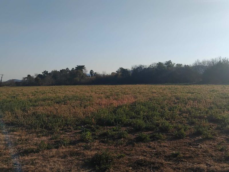 Farm For Sale in Brits - Photo 9