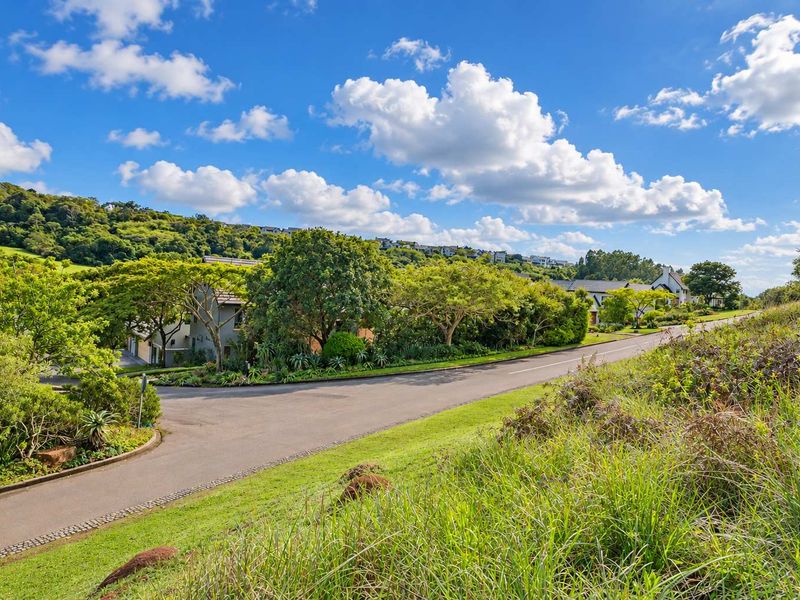 A view of the paved street and surrounding landscaped greenery within the residential estate.