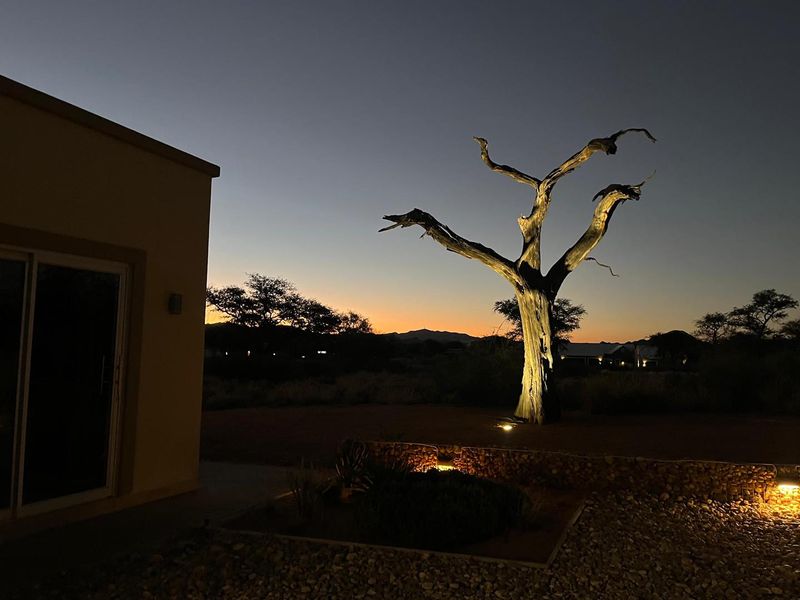 A serene evening view of the rear exterior featuring a stone retaining wall, landscape lighting, and a prominent feature tree against a sunset backdrop.
