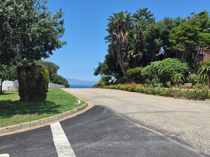 Vacant 1167m2 Stand with Scenic Views Over Groot Brak River on the Garden Route - Photo 6