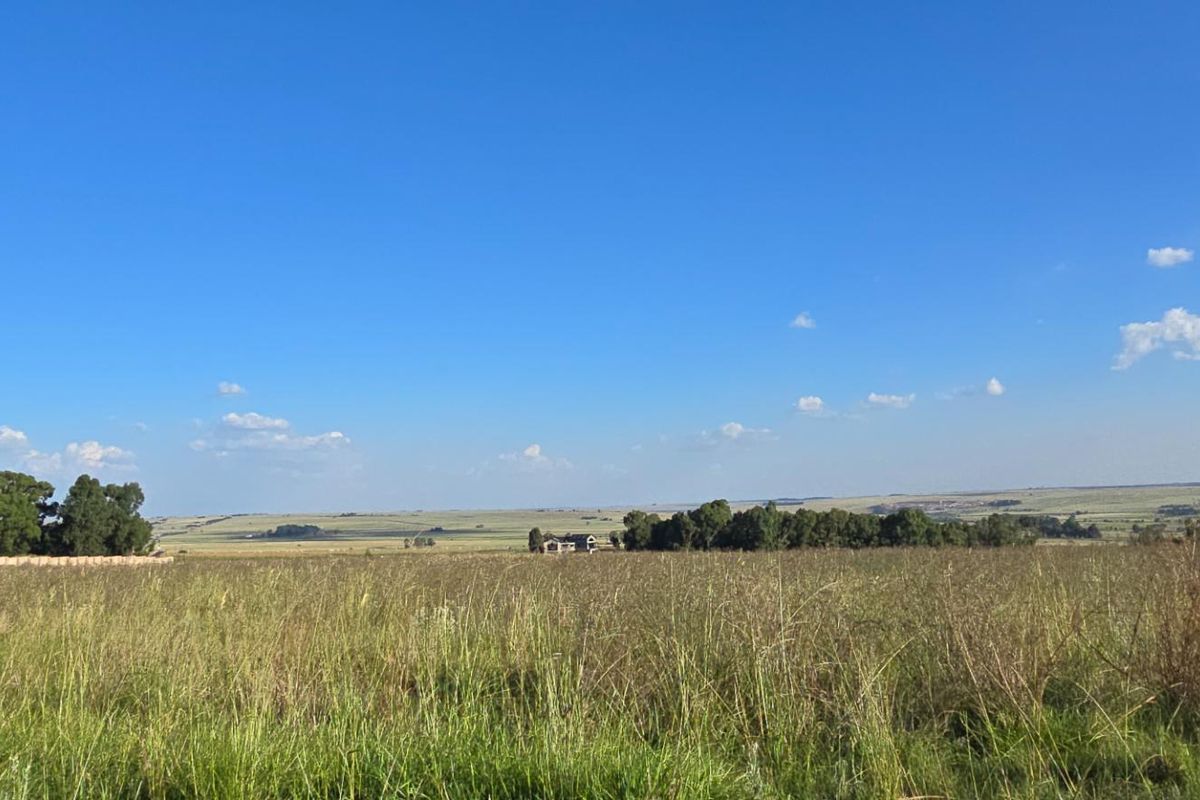 A wide-angle view of an expansive, undeveloped residential land plot featuring natural grassland and mature trees under a clear blue sky.