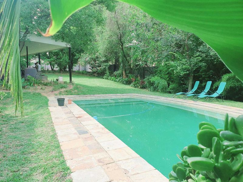 A private backyard featuring a swimming pool with stone coping, a lush green lawn, and a covered patio area surrounded by mature trees.