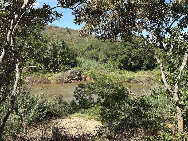 Magnificent Vacant Riverfront Land for Sale – Elephant Rock Eco Estate - Photo 9