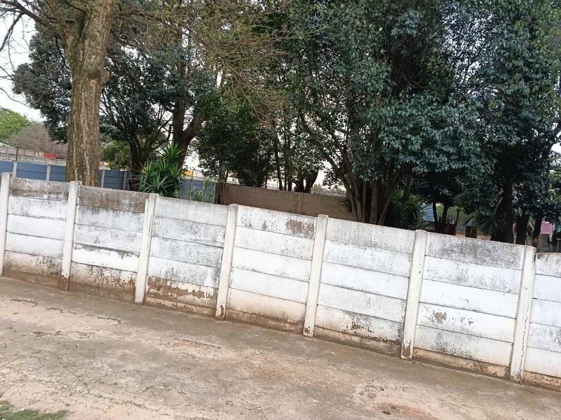 HUGE 7,498 ha PLOT FOR SALE IN LILYVALE, BENONI - WITH 2 HOUSES - Photo 10