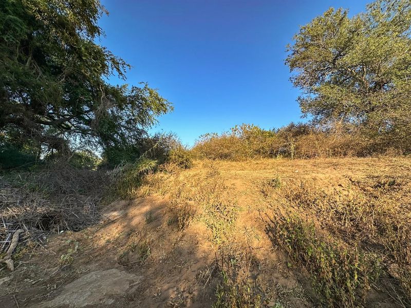 Exceptional Bushveld Stand with River Access - Photo 10