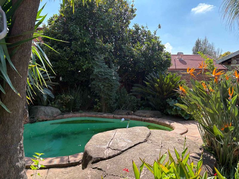 Family home that needs a stroke of love and care - Photo 4