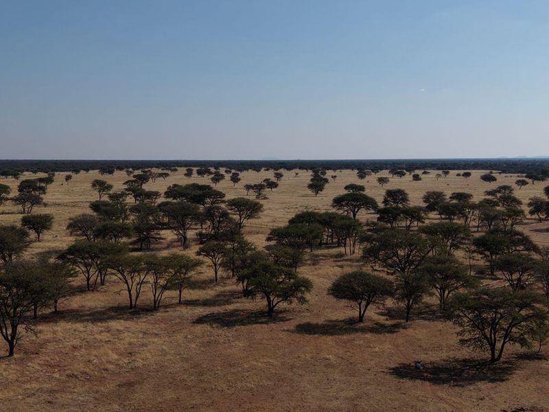 A genuine working farm for the serious agricultural buyer. - Photo 4