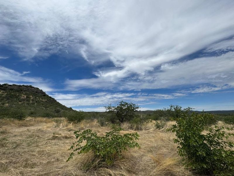 A wide-angle view of the natural farm landscape featuring dry grassland, native shrubs, and a distant hill under a cloudy blue sky.