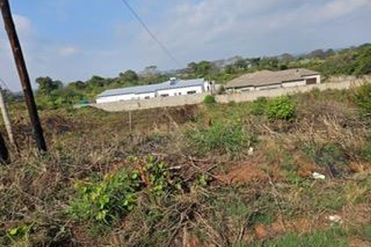 A view of a vacant residential plot featuring overgrown vegetation, a perimeter wall, and surrounding neighborhood properties.