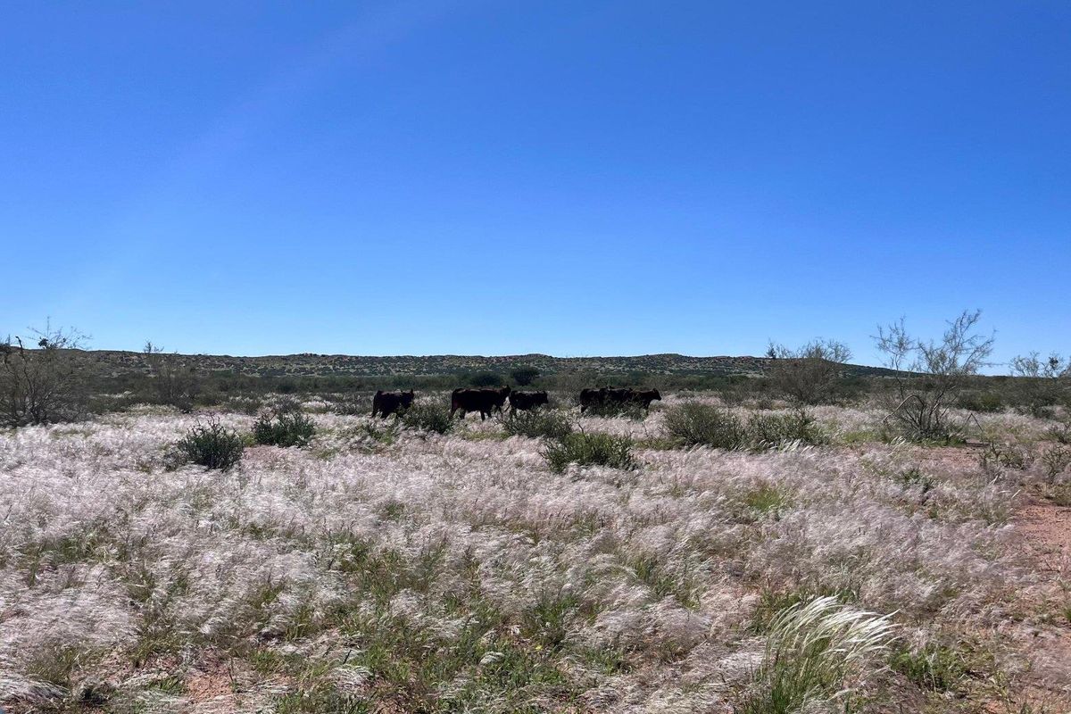 Farm close to Aroab - Photo 4