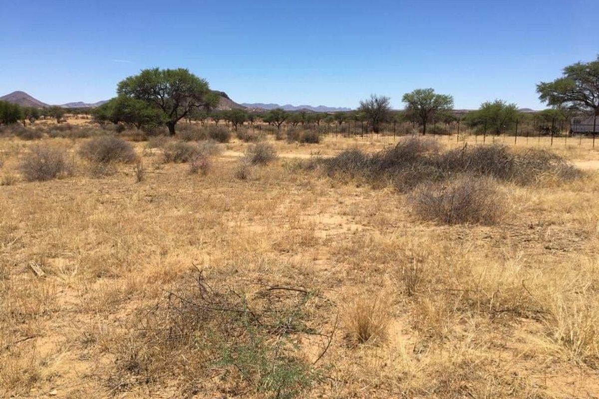 If you are a nature lover, this one is for you... - Photo 2