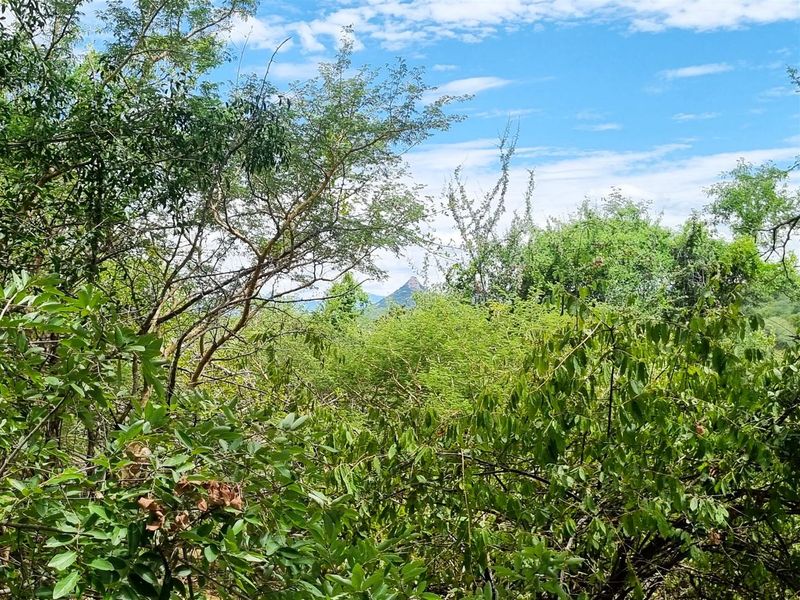 Excellent location - Photo 5