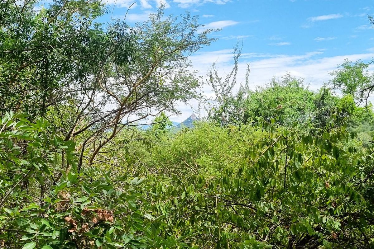 Excellent location - Photo 5