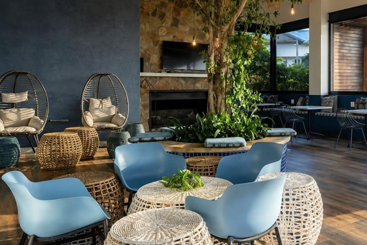 A stylish, open-plan living area featuring a stone fireplace, exposed timber rafters, and a unique central indoor planter with a tree.