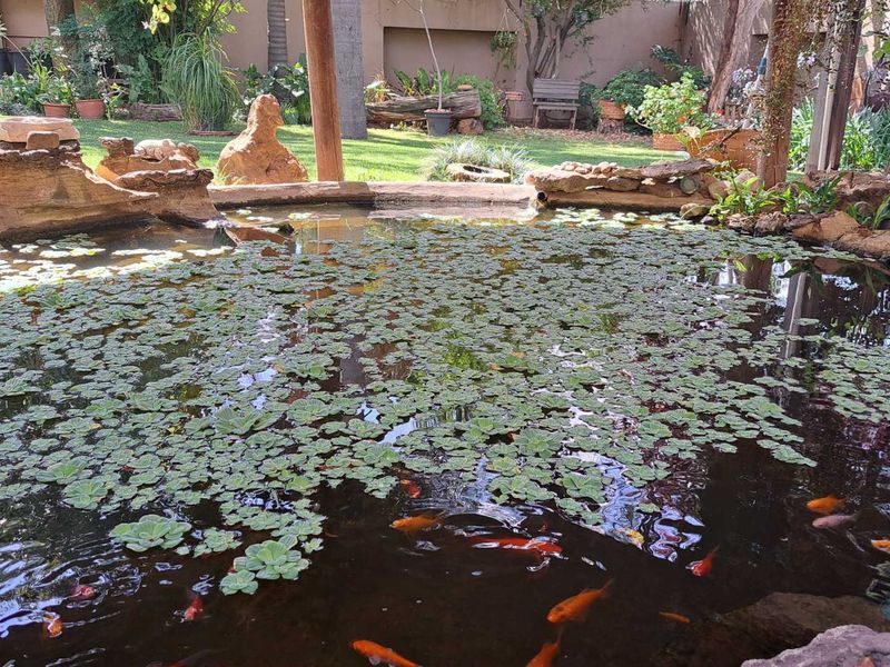 A well-maintained stone-lined garden pond featuring aquatic plants and koi fish, set within a landscaped backyard environment.