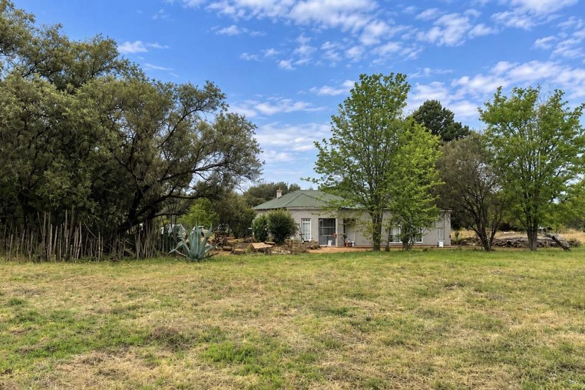 A view of the rear elevation of the small holding, featuring a pitched metal roof and a covered patio set within a spacious garden.