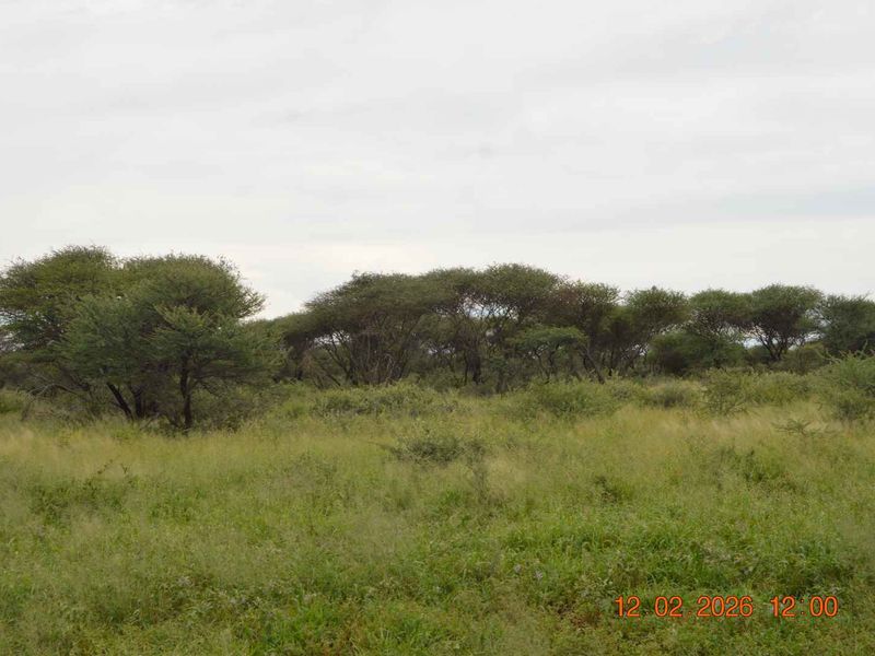 Your Perfect Rural Address - Photo 7