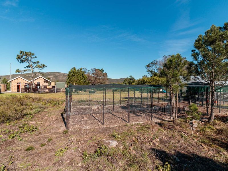 Set within an unspoiled landscape of indigenous Fynbos, this exceptional lifestyle farm... - Photo 10