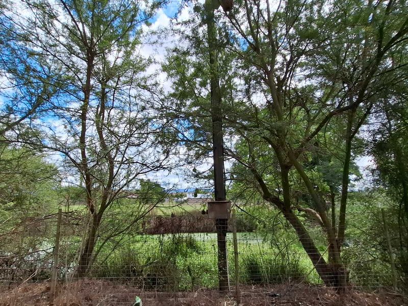 Versatile Property: From Farm to Function Venue! - Photo 5