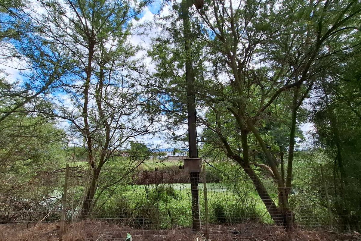 Versatile Property: From Farm to Function Venue! - Photo 5