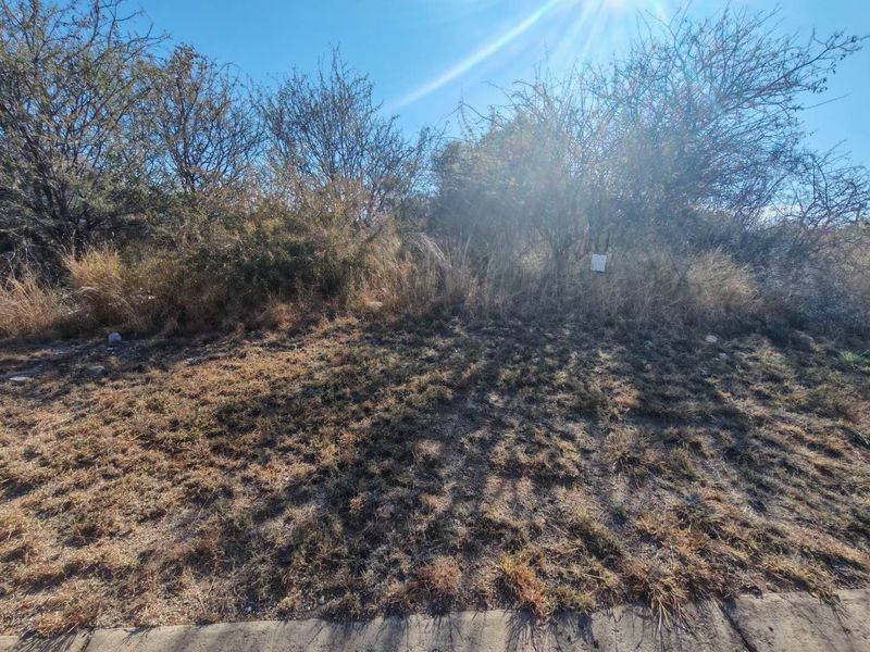 A view of a vacant residential plot featuring native vegetation and direct street access.