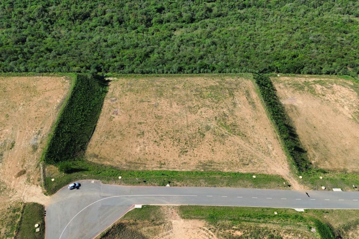 An aerial view of a vacant industrial plot of land adjacent to a paved road and bordered by natural vegetation.