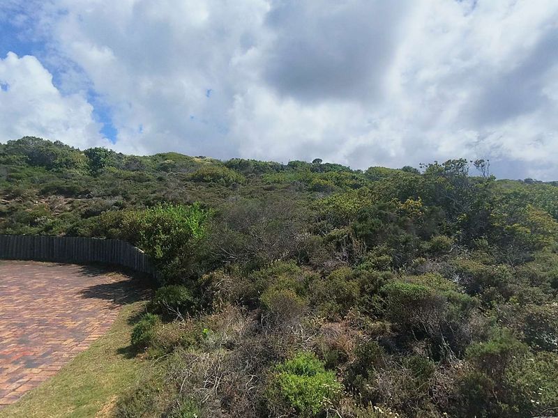 3040m2 Vacant Land With Breathtaking Views in Moquini Coastal Estate - Photo 9
