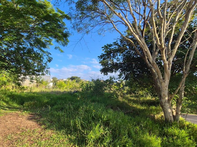 Build your own dream Home - Photo 6