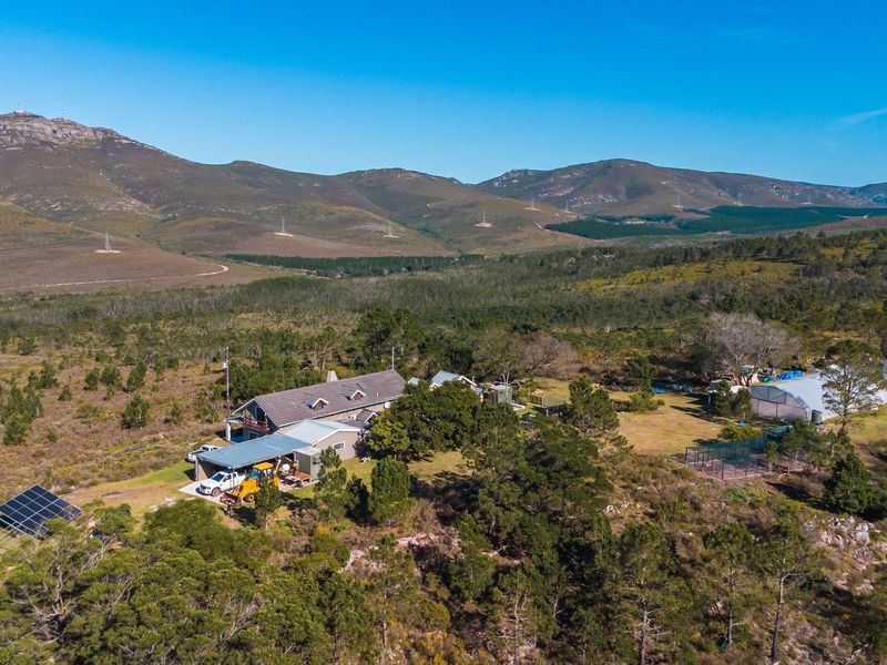 Set within an unspoiled landscape of indigenous Fynbos, this exceptional lifestyle farm... - Photo 4