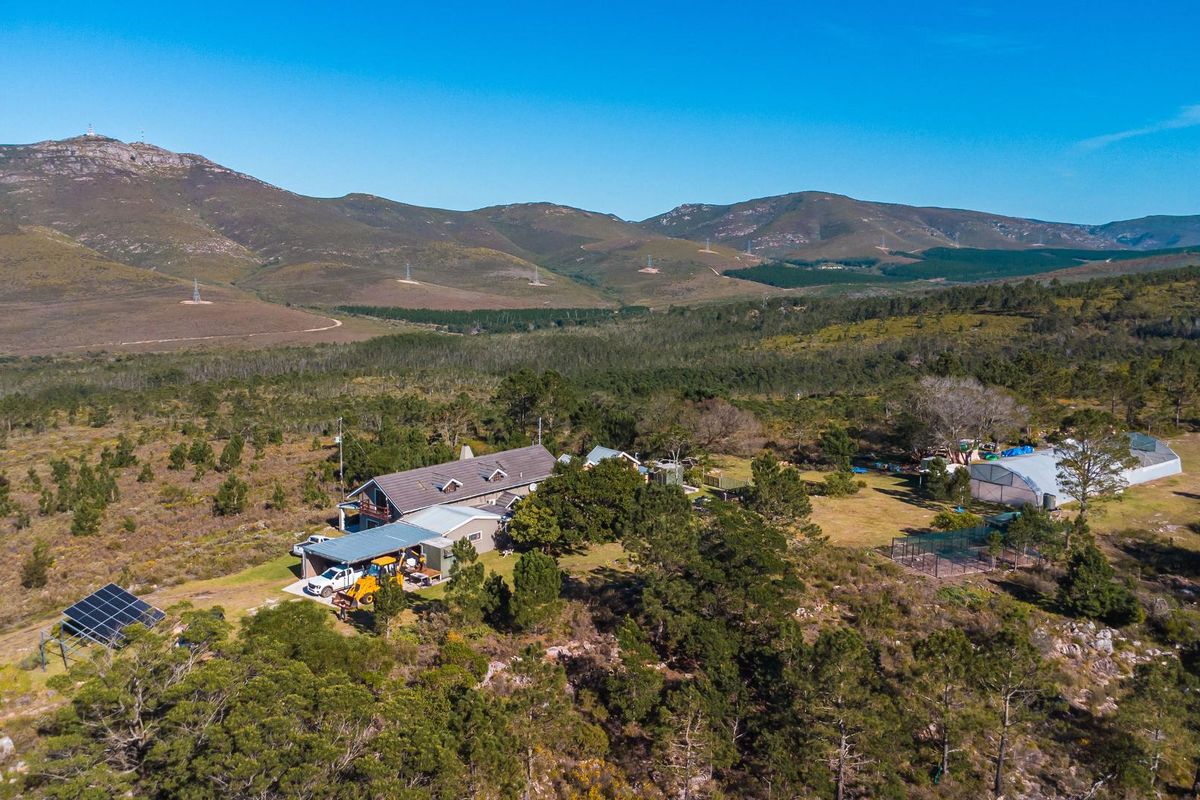 Set within an unspoiled landscape of indigenous Fynbos, this exceptional lifestyle farm... - Photo 4