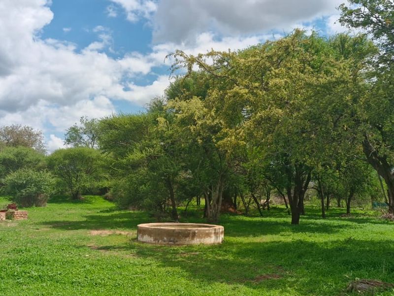 951ha Prime Wildlife, Cattle & Farming Farm for Sale – Limpopo Bushveld - Photo 6