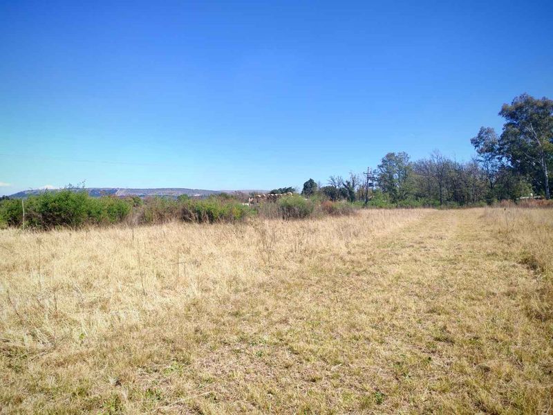 Prime Farm with River & Pool – Ideal for Development or Trucking - Photo 4