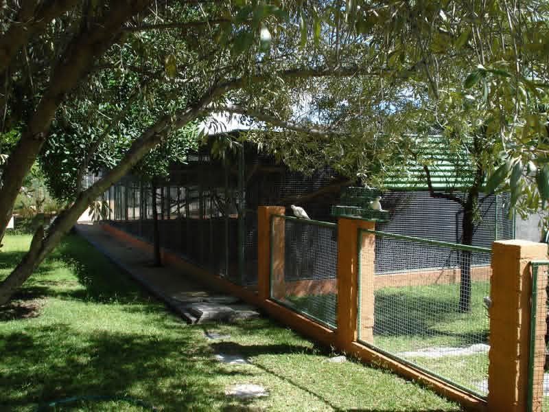 This smallholding is ideal for those seeking a blend of farming potential and a warm family lifestyle in the heart of Omaruru's natural beauty.✨️ - Photo 3