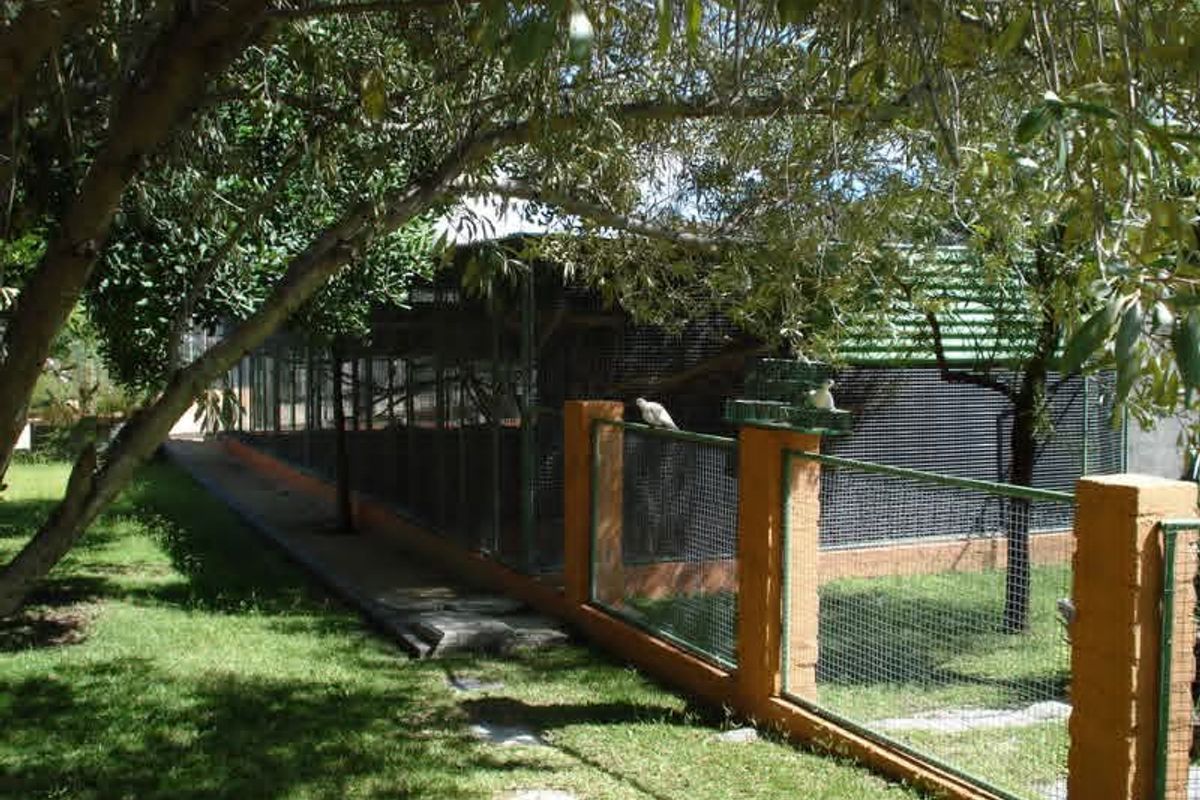 This smallholding is ideal for those seeking a blend of farming potential and a warm family lifestyle in the heart of Omaruru's natural beauty.✨️ - Photo 3