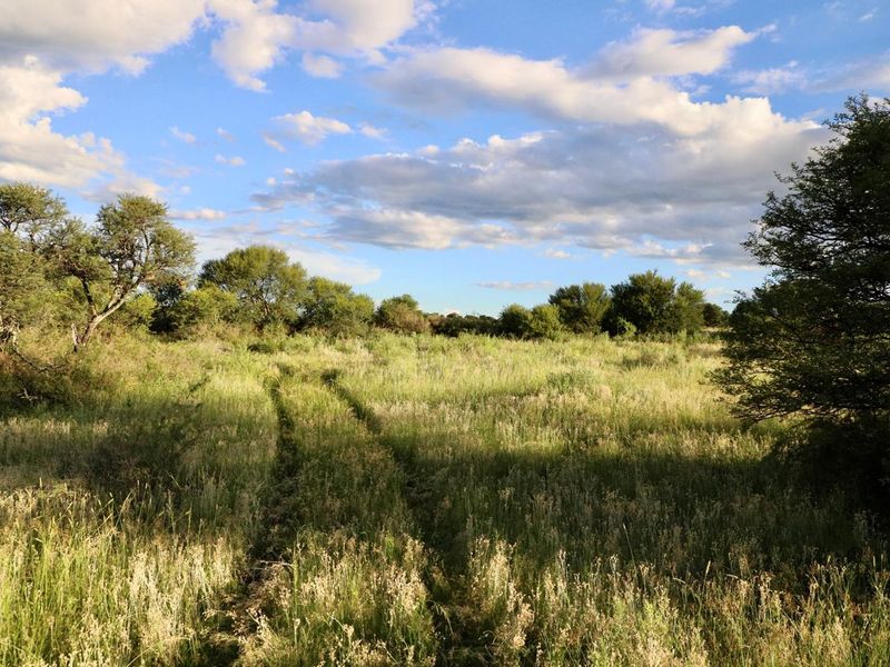 Exceptional Farming Opportunity — 312.0183 ha Grazing Farm with a 4 Bedroom Home, 4 Dams and 8  Boreholes Off the Grid with Solar - Photo 5