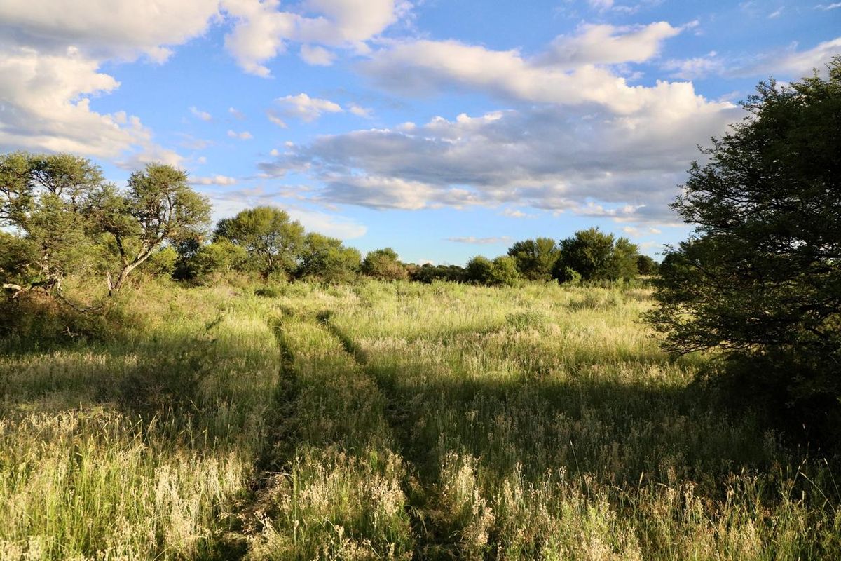 Exceptional Farming Opportunity — 312.0183 ha Grazing Farm with a 4 Bedroom Home, 4 Dams and 8  Boreholes Off the Grid with Solar - Photo 5