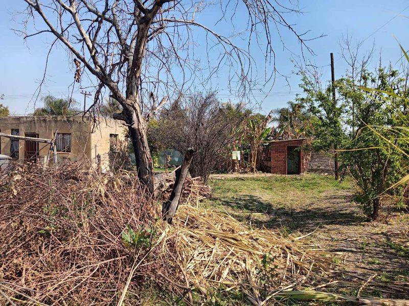 A large, overgrown garden area featuring a small brick outbuilding and perimeter wall, requiring significant landscaping and maintenance.