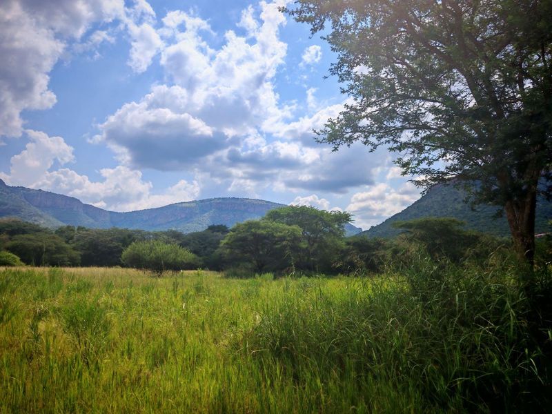 Vacant Stand For Sale - Photo 8