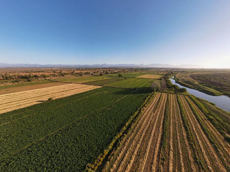 Wanted: Visionary Robust Investors/Developers!! - Photo 7