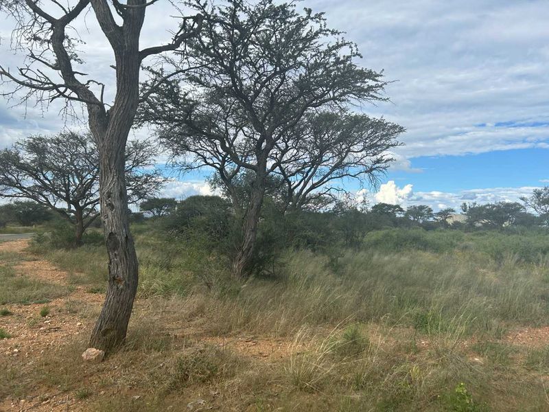A view of a vacant residential plot featuring natural vegetation and mature trees, suitable for development.
