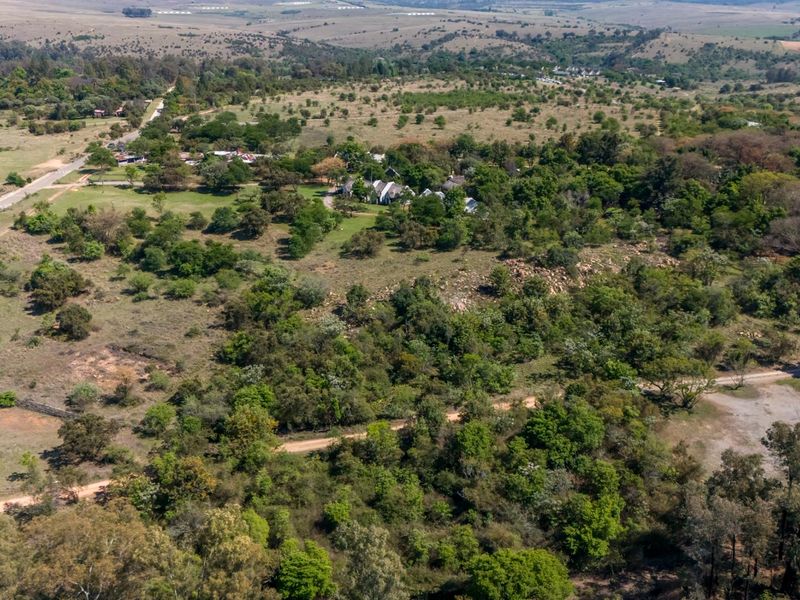 An aerial view of a large, undeveloped agricultural land parcel featuring natural vegetation, trees, and an unpaved access road.