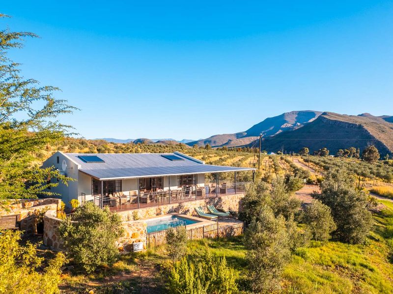 AN INVESTMENT IN PEACE, PURPOSE AND UNPARALLELED BEAUTY - ORGANIC OLIVE FARM FOR SALE - Photo 6